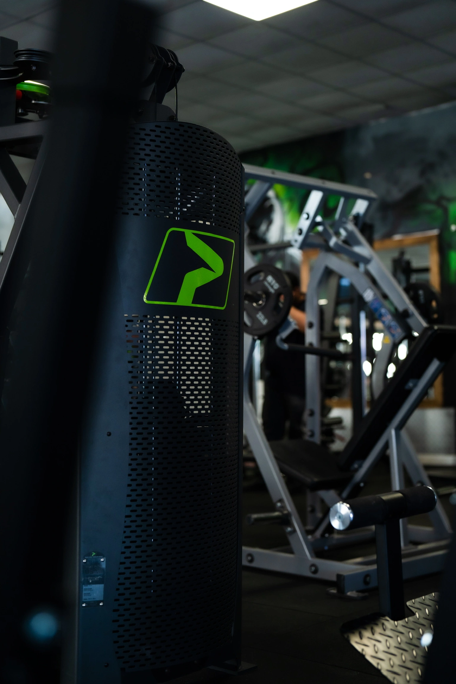 Strength training equipment at Apex Gym